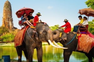 Fra Bangkok: Privat guidet dagstur i Ayutthaya