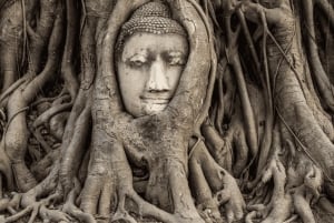 Fra Bangkok: Privat guidet dagstur i Ayutthaya