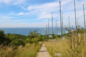 Bangkok: de hoogtepunten van Pattaya en Koh Lan Island privétour