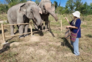 Bangkok: Elephant Sanctuary and Khao Kheow Open Zoo Tour