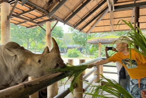 Bangkok: Elephant Sanctuary and Khao Kheow Open Zoo Tour