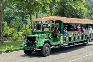 Bangkok: Elephant Sanctuary and Khao Kheow Open Zoo Tour