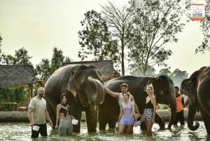 Bangkok: Pattaya Elephant Jungle Sanctuary Half-Day Tour