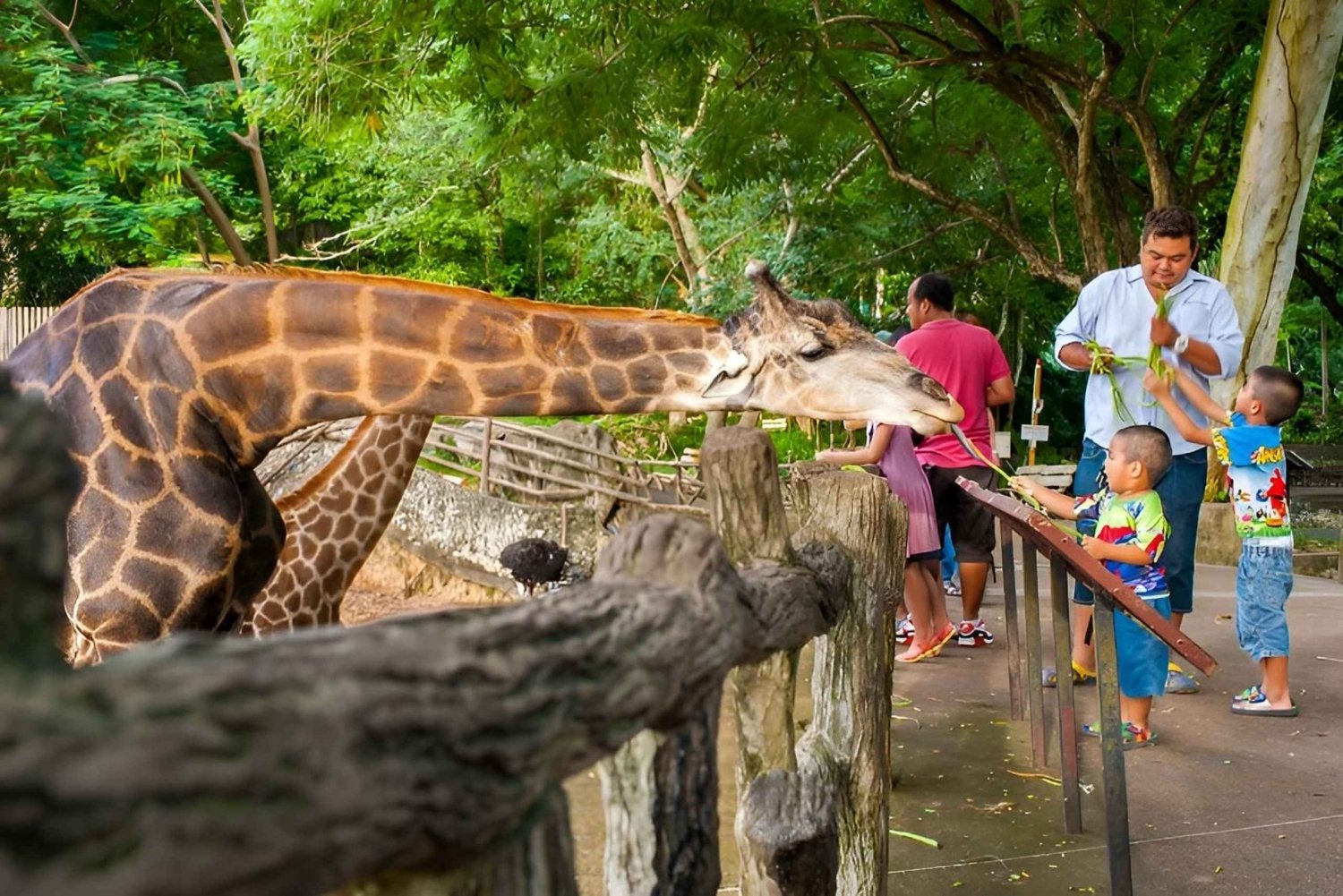 Bangkok/Pattaya: Khao Kheow Zoo Private Tour with Pickup