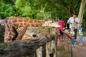 Bangkok/Pattaya: Khao Kheow Zoo Private Tour with Pickup