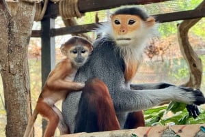 Bangkok/Pattaya: Khao Kheow Zoo Private Tour with Pickup