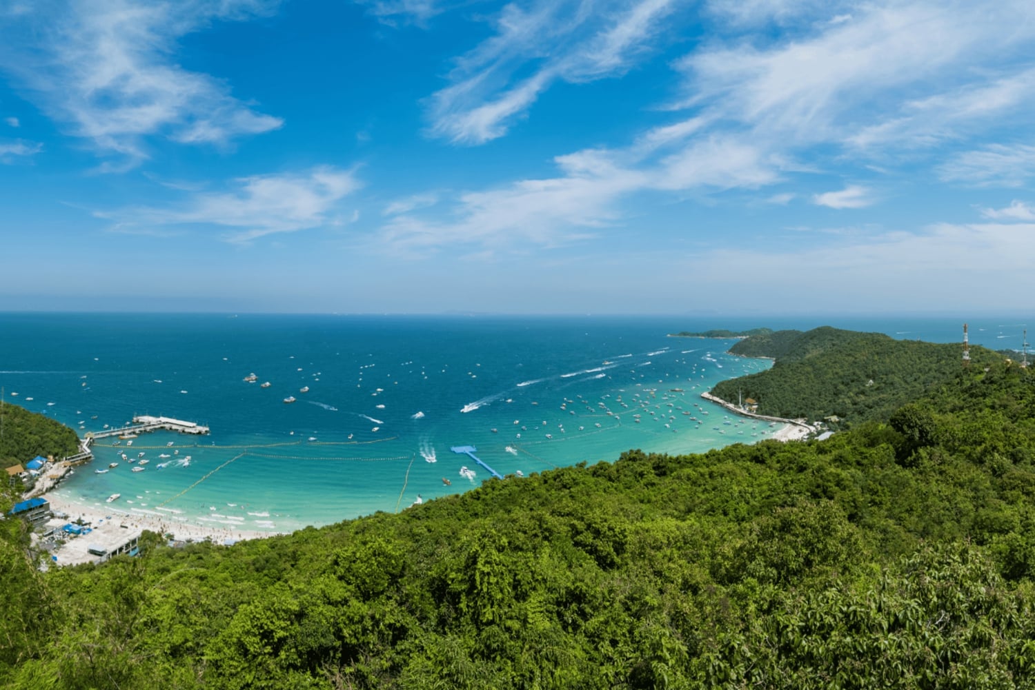 Bangkok: Pattaya Private Day Tour with Sanctuary of Truth