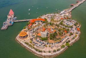 Bangkok: Pattaya Private Day Tour with Sanctuary of Truth