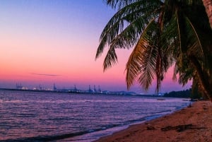 Bangkok: Pattaya Private Day Tour with Sanctuary of Truth