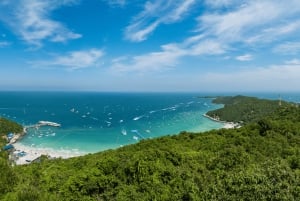 Bangkok: Pattaya Private Day Tour with Sanctuary of Truth