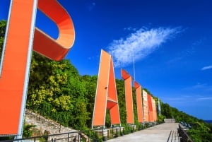 Bangkok: Pattaya Private Day Tour with Sanctuary of Truth