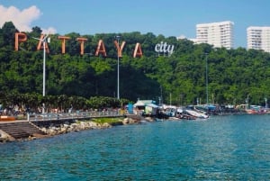 Bangkok: Pattaya Private Day Tour with Sanctuary of Truth