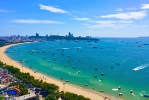 Bangkok: Pattaya Private Day Tour with Sanctuary of Truth