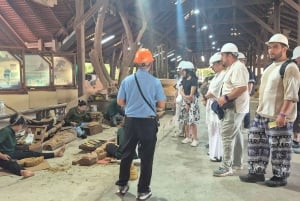 Bangkok: tour guiado al Santuario de la Verdad de Pattaya y a la Isla de los Corales