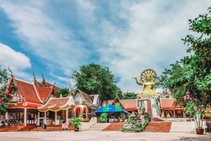 Fra Bangkok: Privat dagstur til Pattaya med transfer