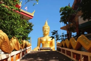 Bangkok: Tour de día completo con guía a la isla de Koh Lan y Pattaya