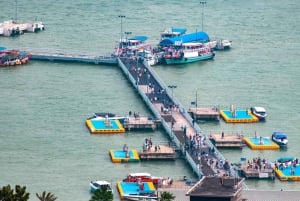 De Bangkok: Excursão em pequenos grupos para Pattaya Beach e Coral Island