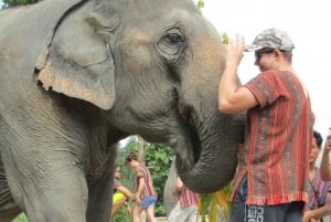 Från Bangkok: Dagstur till etiskt elefantreservat i Pattaya