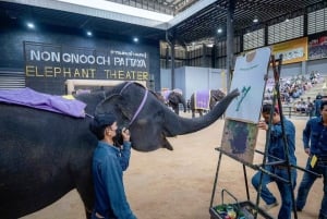 Da Bangkok/Pattaya: Escursione privata su misura a Pattaya