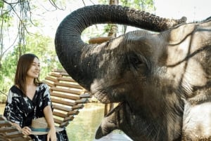 Von Bangkok/Pattaya: Private Tagestour nach Maß in Pattaya