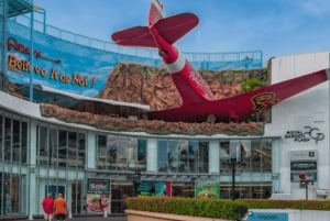 Von Bangkok/Pattaya: Private Tagestour nach Maß in Pattaya