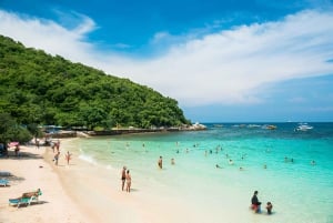 Depuis Bangkok : excursion privée d'une journée à Pattaya