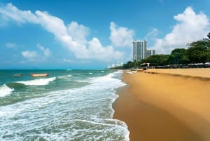 Depuis Bangkok : excursion privée d'une journée à Pattaya