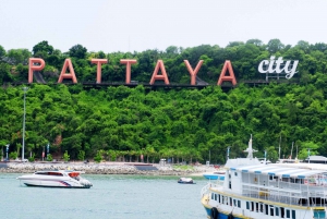 From Bangkok: Private Day Trip To Pattaya & Coral Island