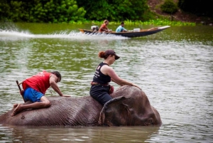 Från Bangkok: Privat guidad Ayutthaya dagstur