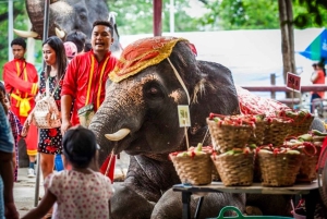 Från Bangkok: Privat guidad Ayutthaya dagstur