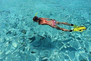 Vanuit Koh Lipe: Beste snorkeltrip