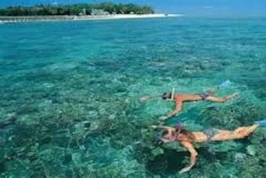 Vanuit Koh Lipe: Beste snorkeltrip