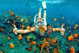 Vanuit Koh Lipe: Beste snorkeltrip