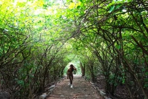 パタヤ発：シーラーチャーでシーチャン島の隠れた宝石を発見