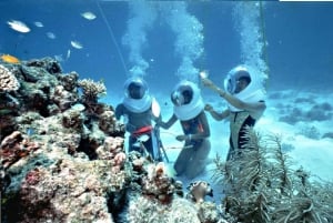 パタヤ発：水上アクティビティ付きのラン島1日ツアー