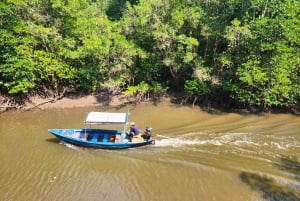 Au départ de Pattaya : Randonnée et kayak privés dans la région de Rayong