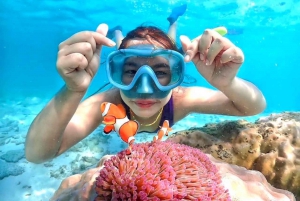 From Pattaya: Private Speedboat to Nemo Island with Snorkel