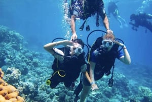 Fra Pattaya: Snorkling eller dykking for nybegynnere