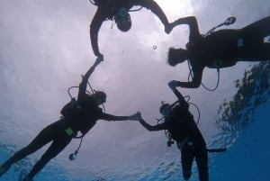 Z Pattaya: Snorkeling lub nurkowanie dla początkujących