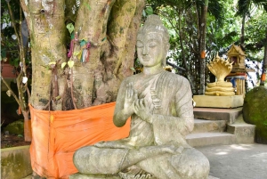 Halve dag Phuket Uitzichtpunt Grote Boeddha Wat Chalong Groep Tour