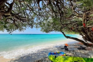 Viagem de 1 dia privada à ilha de Ko Larn com actividades aquáticas