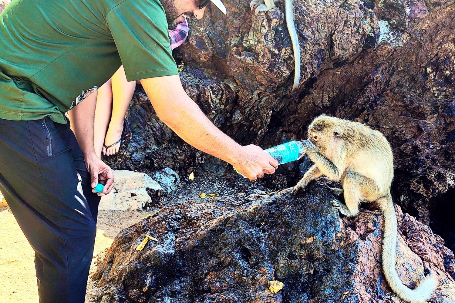 Koh Larn Monkey Beach Guided Tour with Jet Ski Ride