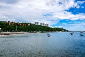 Koh Larn Monkey Beach Guided Tour with Jet Ski Ride