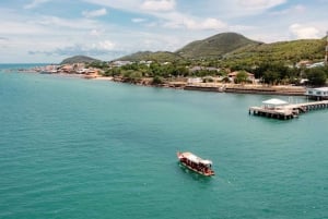Koh Larn: Private Long Tail Boat Tour