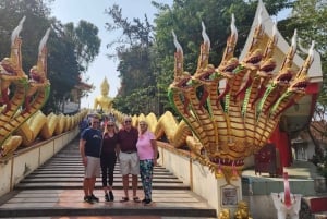 Laem Chabang: Privétour & Sanctuary of Truth