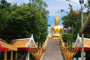 Laem Chabang: Privétour & Sanctuary of Truth