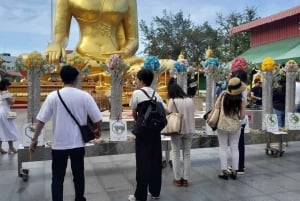 Laem Chabang: Privétour & Sanctuary of Truth