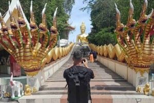 Laem Chabang: Privétour & Sanctuary of Truth