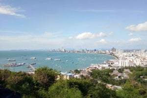 Laem Chabang: Privétour & Sanctuary of Truth