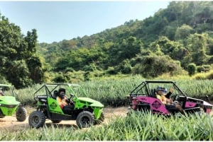 Pattaya: 2-Hour Monster Buggy Adventure Tour